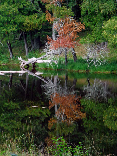 reflections in Presque Isle River